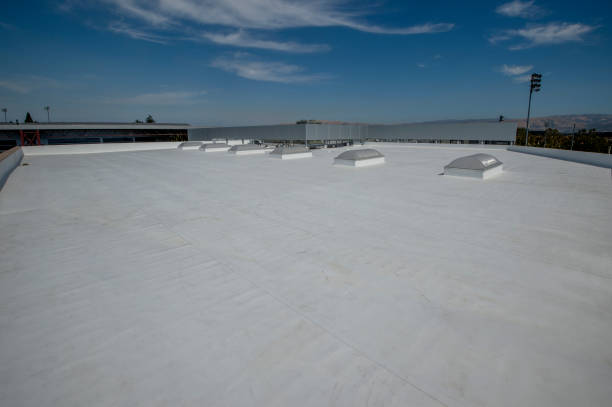 Best Roof Leak Repair  in Juno Beach, FL